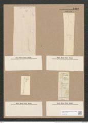 Pleurosigma prolongatum W.Sm. (de-Toni-Nr.: Genus 13, Species 1092) Zeichnungen Sammlung Grunow Nr. 2128 (NHMW-BOT-W0369163)